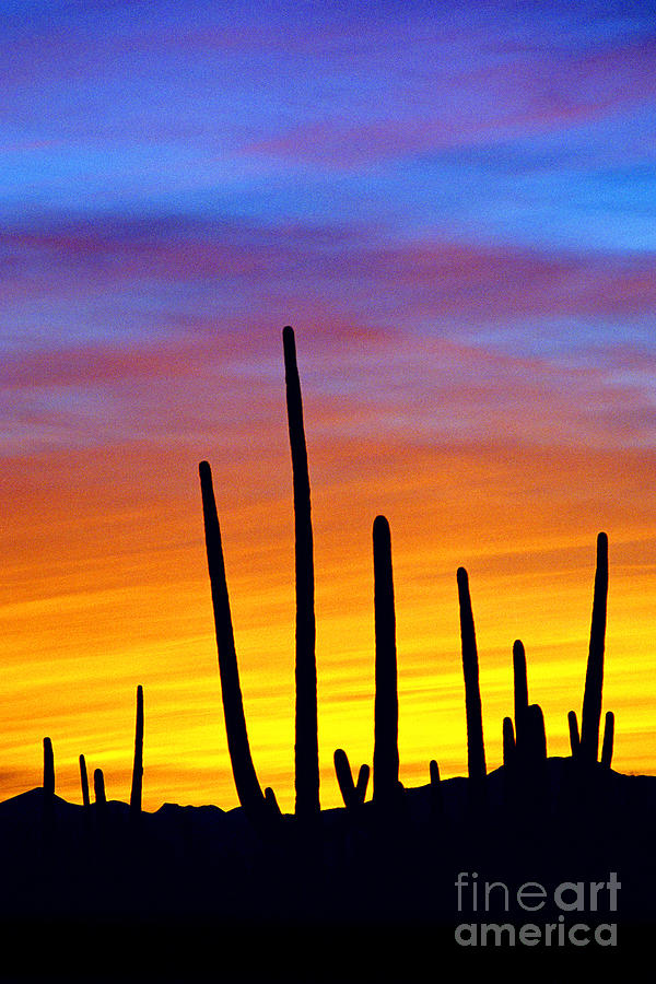 Solstice Sunset Photograph by Douglas Taylor