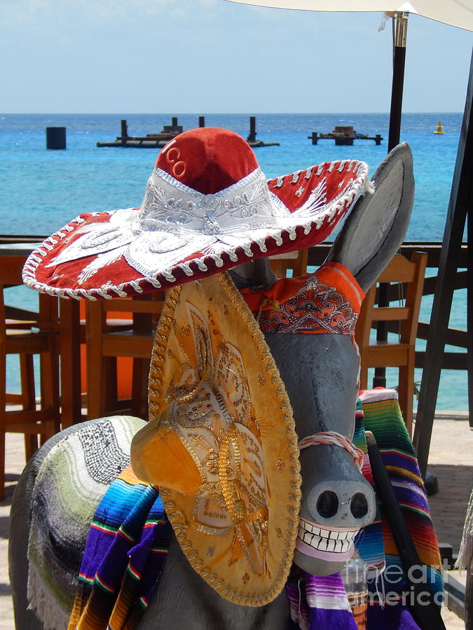 Sombreros The Donkey And The Sea Photograph by Michael Hoard