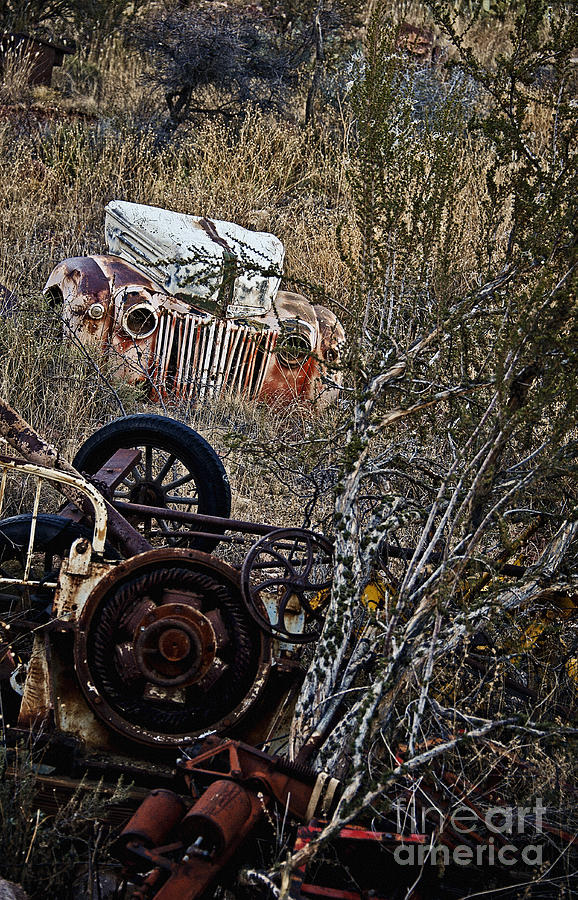 Some Ford in the Weeds Photograph by Lee Craig