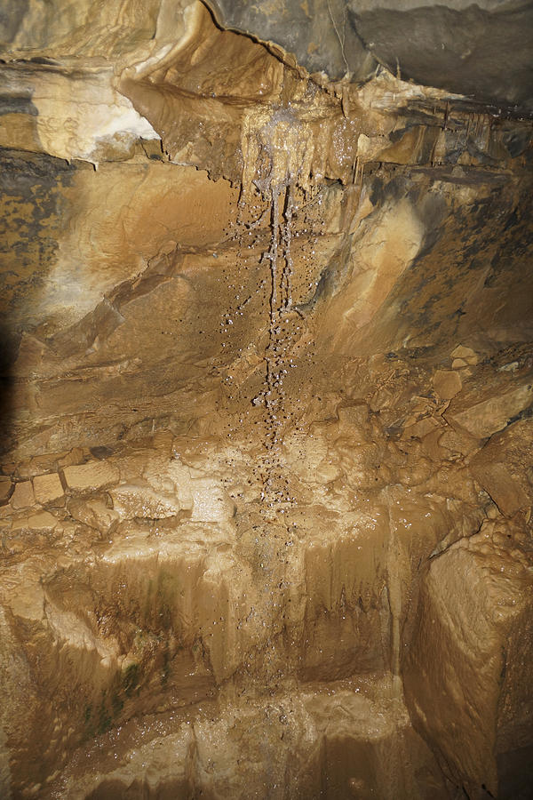 Someday Stalagtite Photograph by John and Julie Black