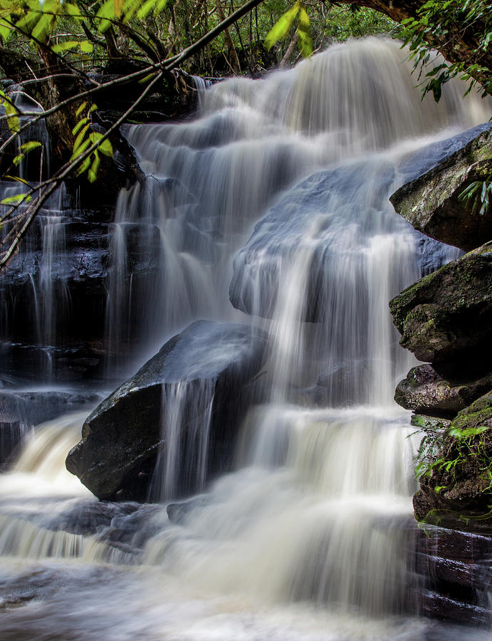 Somersby Falls Photograph by Kf Shots