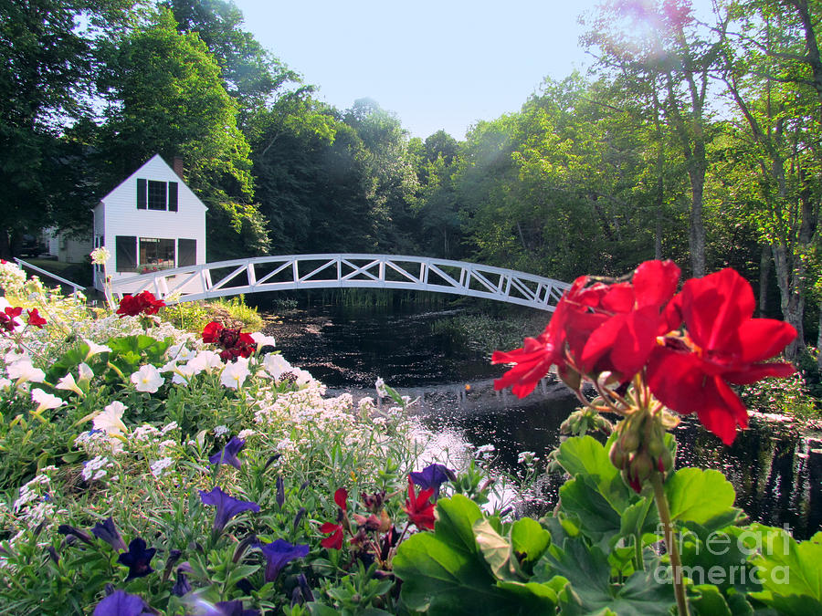 Somesville Bridge and Home Photograph by Elizabeth Dow