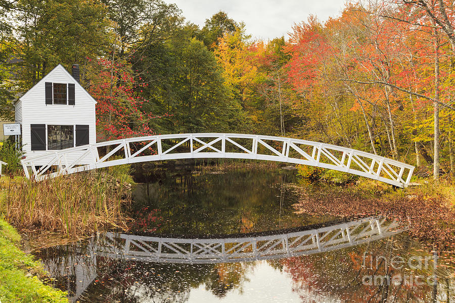 Somesville Bridge in Autumn Mount Desert Island Maine Photograph by Ken Brown