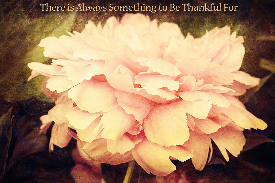 Something to Be Thankful For Photograph by Trina  Ansel