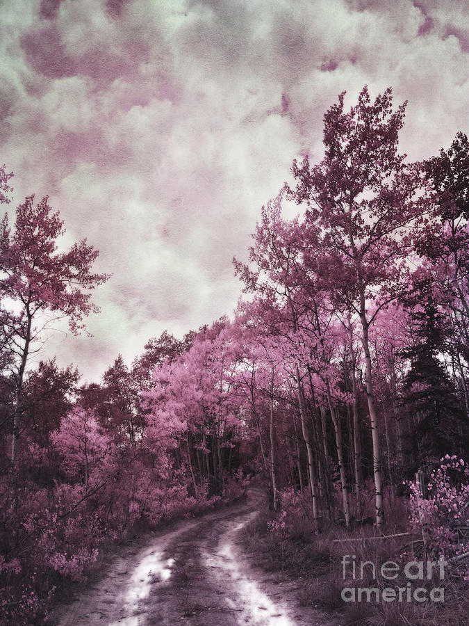 Tree Photograph - Sometimes My World Turns Pink by Priska Wettstein