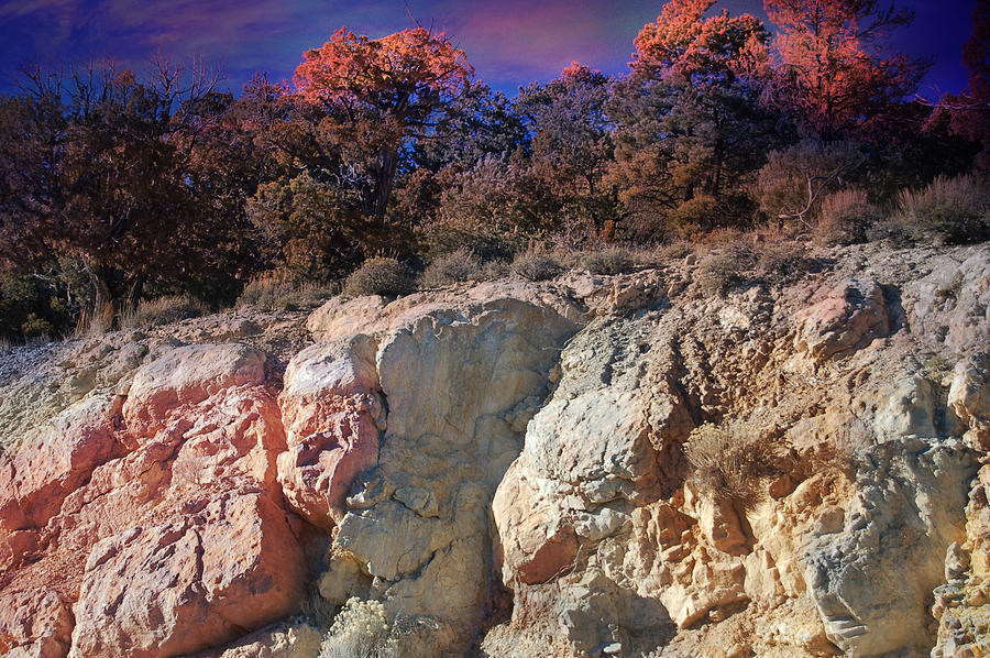 Landscape Photograph - Somewhere in the nevada desert by Gunter Nezhoda