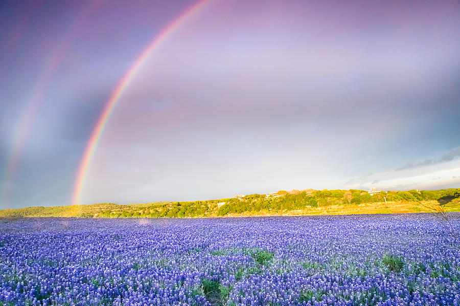 Dallas Photograph - Somewhere over the rainbow - wildflower field in Texas by Ellie Teramoto