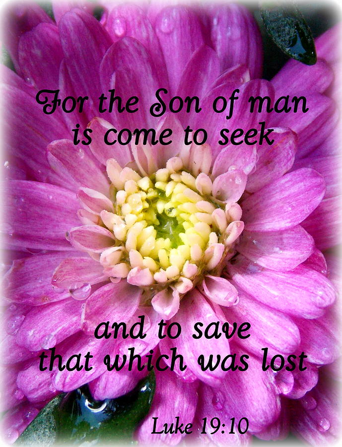 Son of Man 1 Photograph by Sheri McLeroy