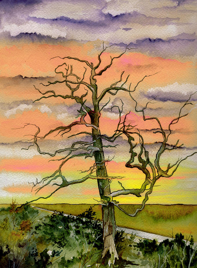Sunset Painting - Sonata by Brenda Owen