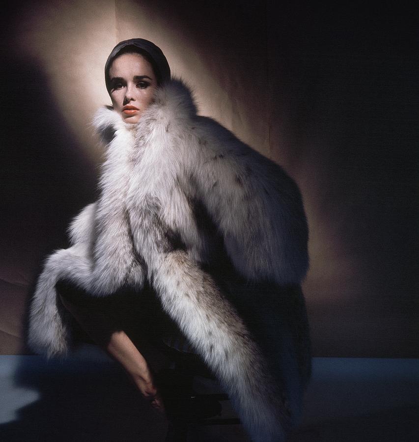 Sondra Peterson Wearing Fur Coat Photograph by Horst P. Horst - Pixels