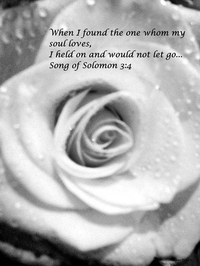 Song Of Solomon Photograph by Marian Lonzetta