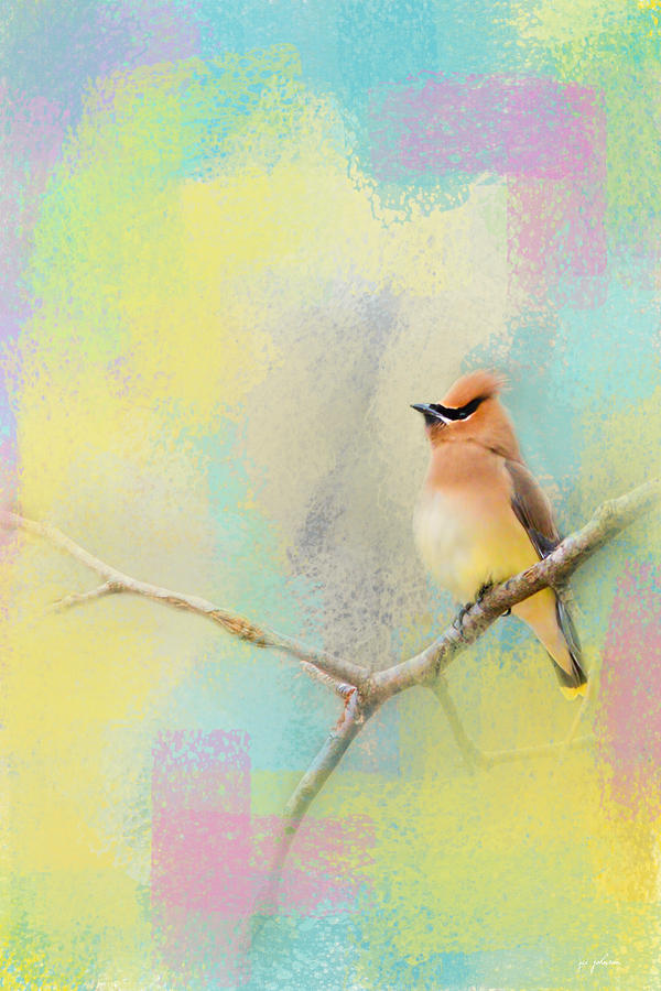 Abstract Photograph - Song of the Waxwing by Jai Johnson