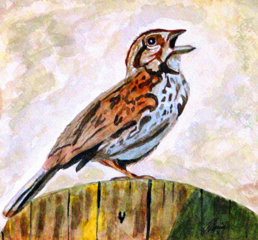 Song Sparrow Painting by Angela Davies