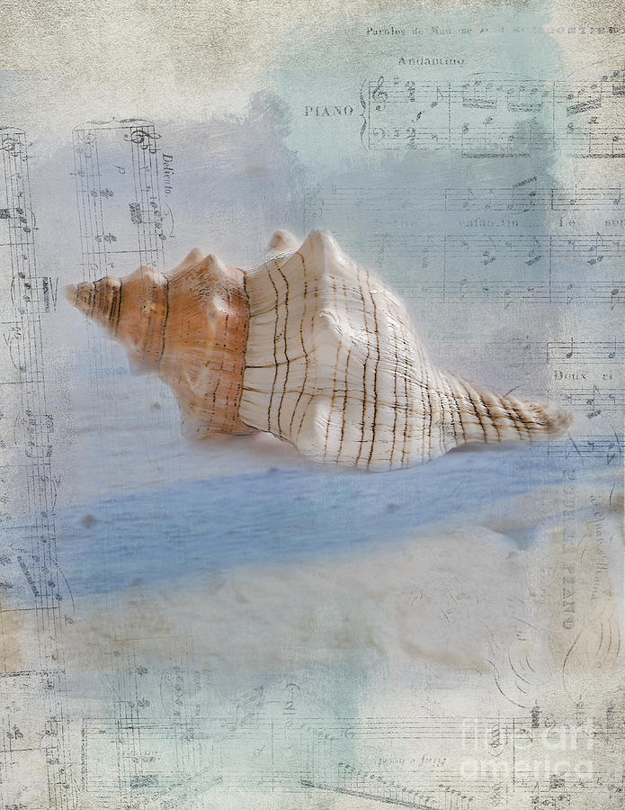 Music Photograph - Songs of the Sea by Betty LaRue