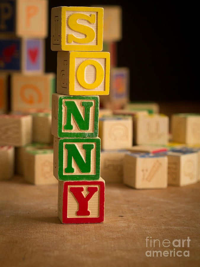 SONNY - Alphabet Blocks Photograph by Edward Fielding