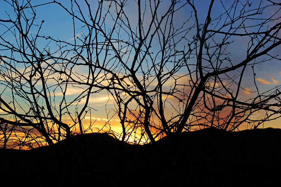 Sonoita Sunset Photograph by Daniel Woodrum