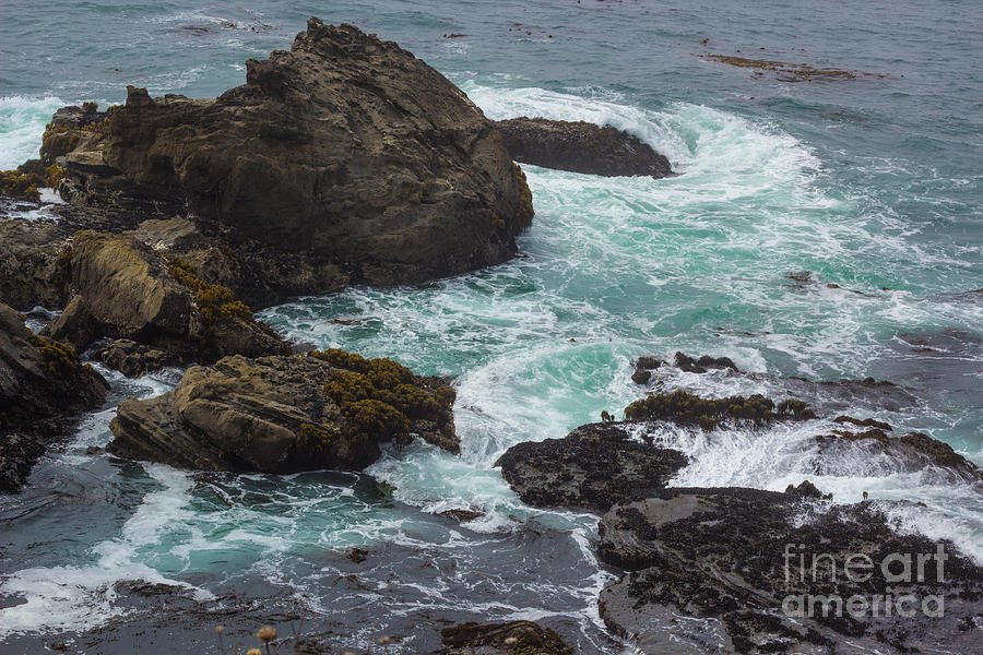 Sonoma Coast Photograph by Suzanne Luft