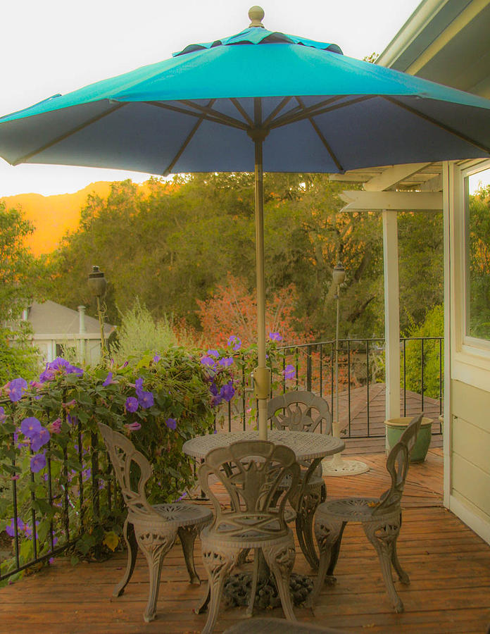 Sonoma deck Photograph by Kathleen McGinley