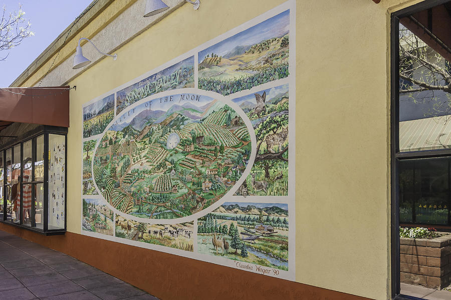 Sonoma Historic Mural Photograph by Karen Stephenson