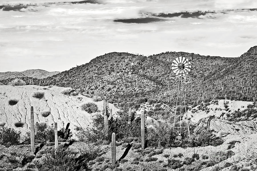 Sonoran Desert and the Windmill Photograph by Lee Craig