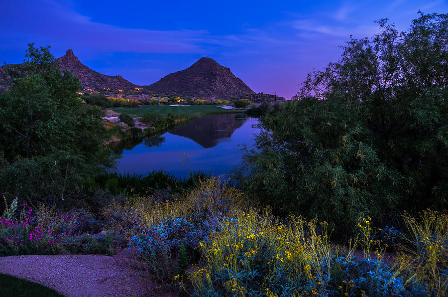 Desert Sunset Photograph - Sonoran Desert at Dusk by Scott McGuire