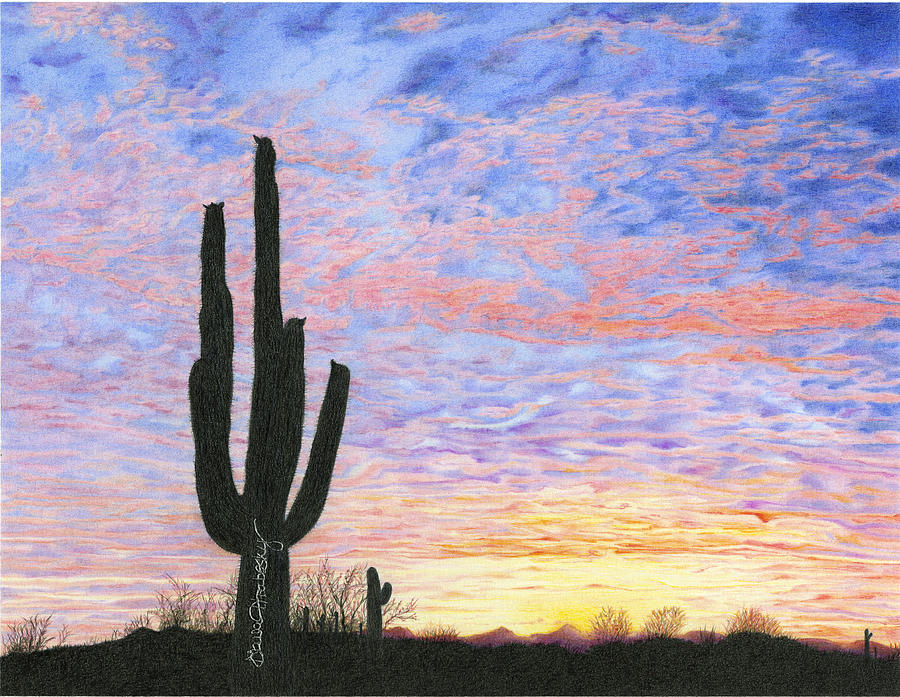 Sonoran Desert Colors Drawing by Diana Hrabosky