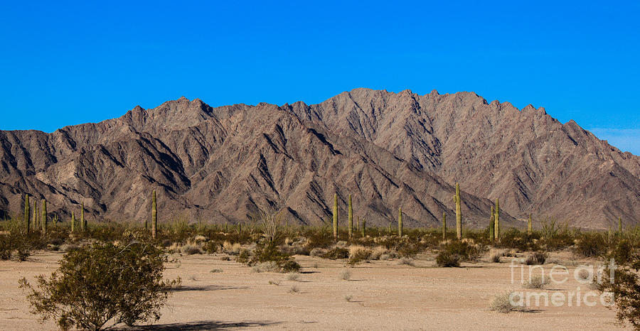 sonoran landscape materials