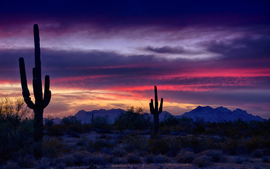 Sonoran Desert Skies Photograph by Saija Lehtonen