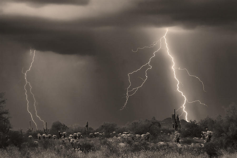 Sonoran Desert Storm - Sepia Photograph by James BO Insogna