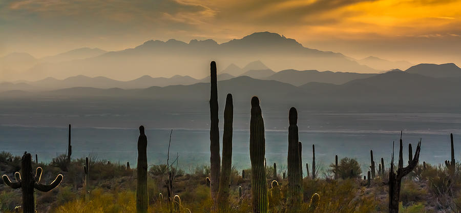 Sonoran Desert Sunset Photograph by James Capo