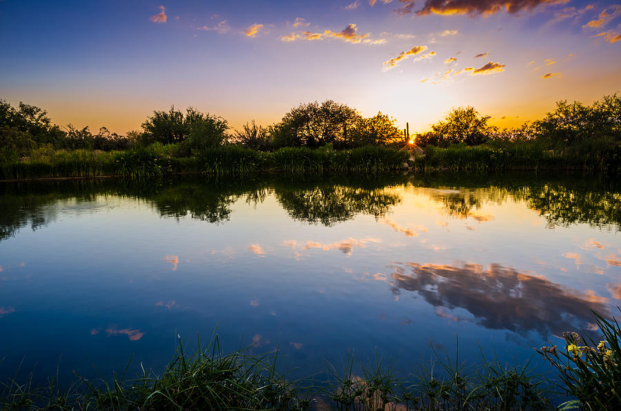 Sonoran Desert Sunset Reflection Photograph by Scott McGuire