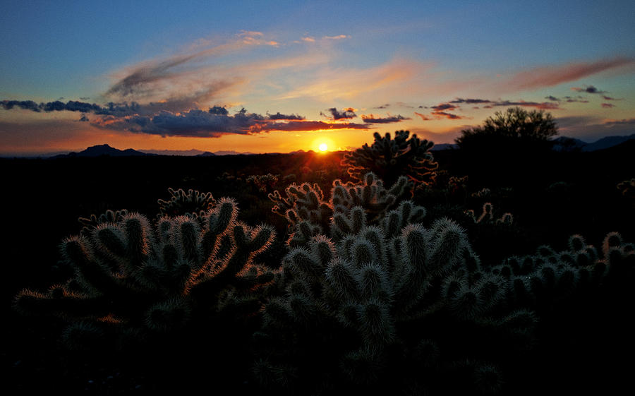 Sunset Photograph - Sonoran Desert Sunset  by Saija Lehtonen