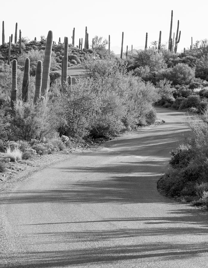 Sonoran Drive Photograph by Aaron Burrows
