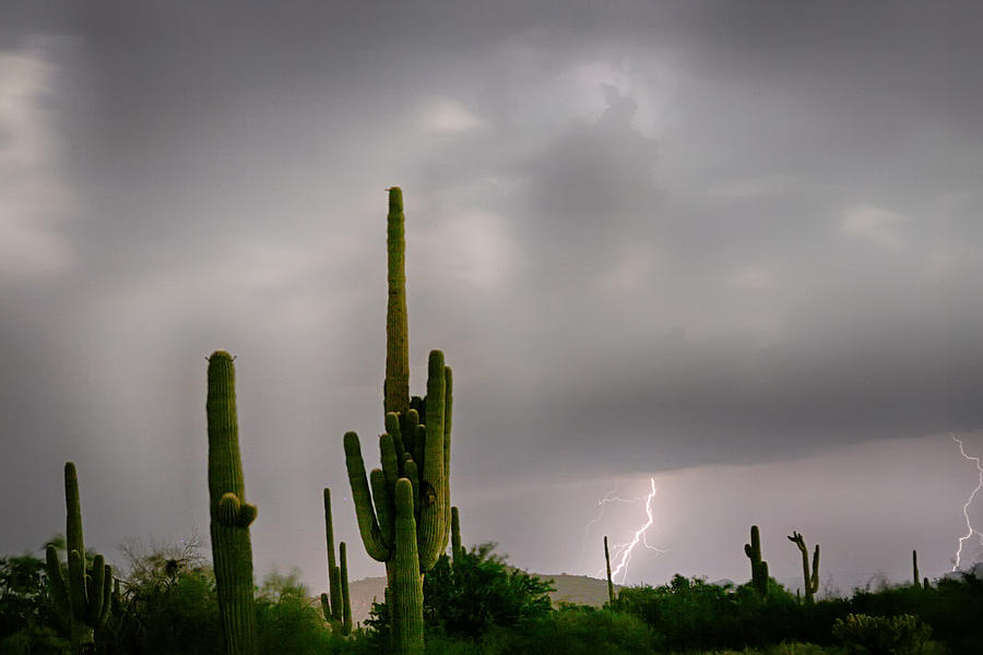 Sonoran Monsoon Lightning Thunderstorm Delight Photograph