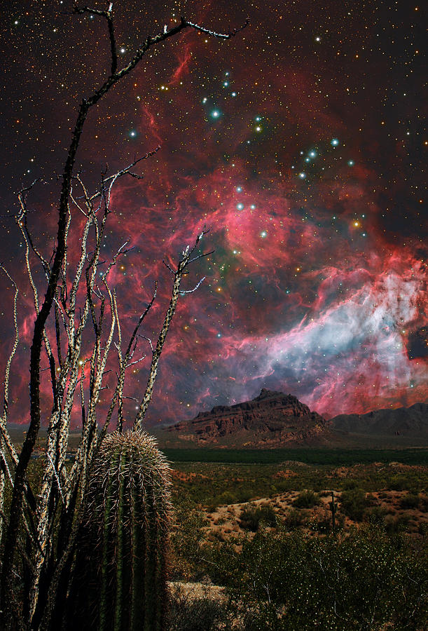 Cosmic Gas Photograph - Sonoran Sci-Fi by Nick Kanihan
