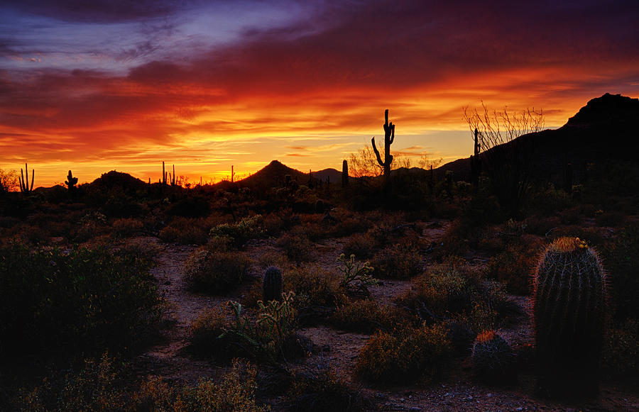 Sunset Photograph - Sonoran Skies  by Saija Lehtonen
