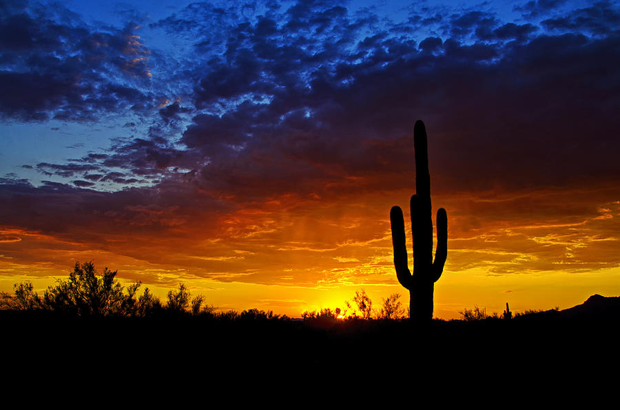 Sunset Photograph - Sonoran Style Sunset  by Saija Lehtonen