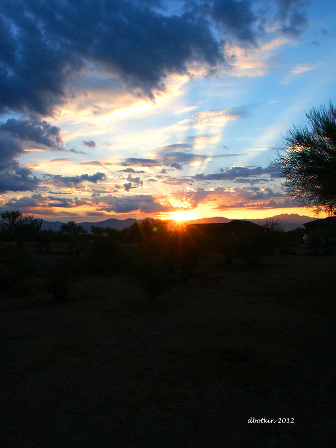 Sonoran Sunrise Photograph by Dick Botkin