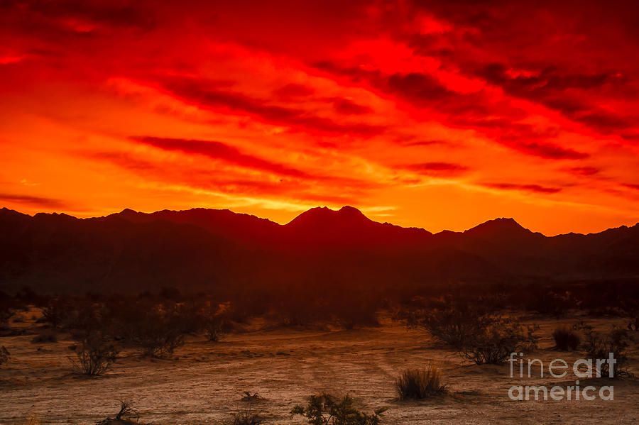 Sonoran Sunrise Photograph by Robert Bales