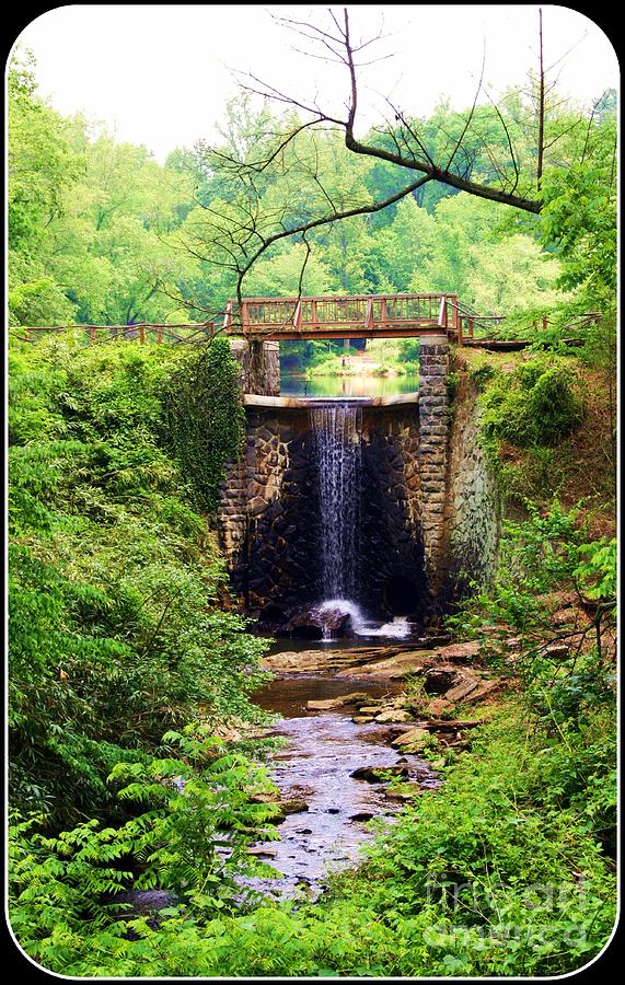 Waterfall Photograph - Soothing Cascade by Patti Whitten Waterfall Photograph - Soothing Cascade by Patti Whitten