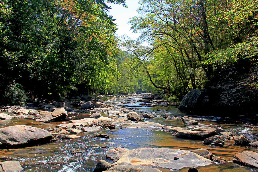 Atlanta, Georgia - Sope Creek  Photograph by Richard Krebs