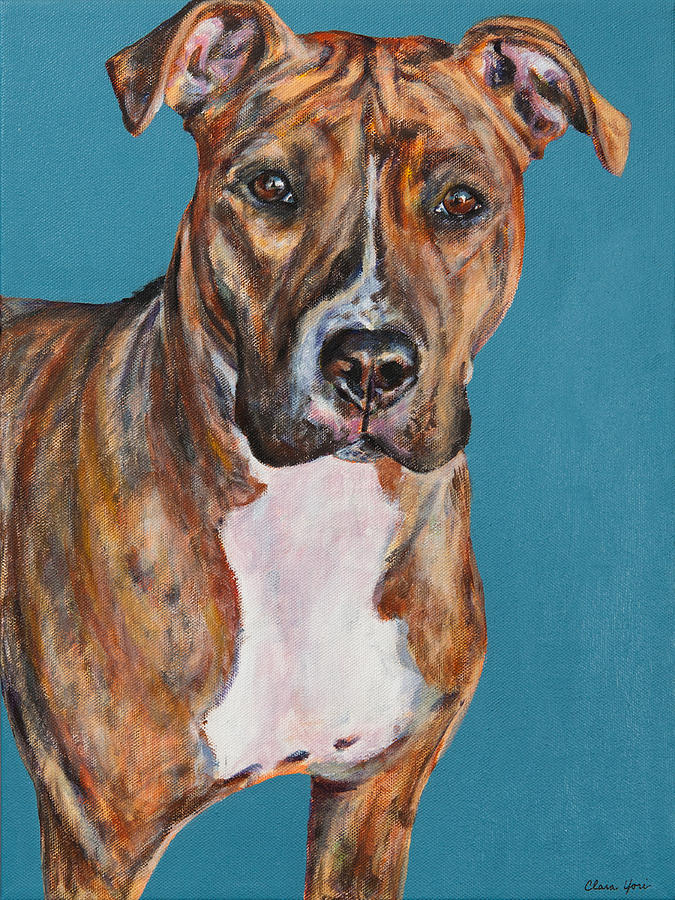 Dog Painting - Sophie by Clara Yori