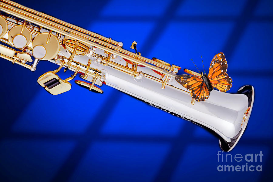 Soprano Saxophone with Butterfly Color blue 3350.02 Photograph by M K Miller
