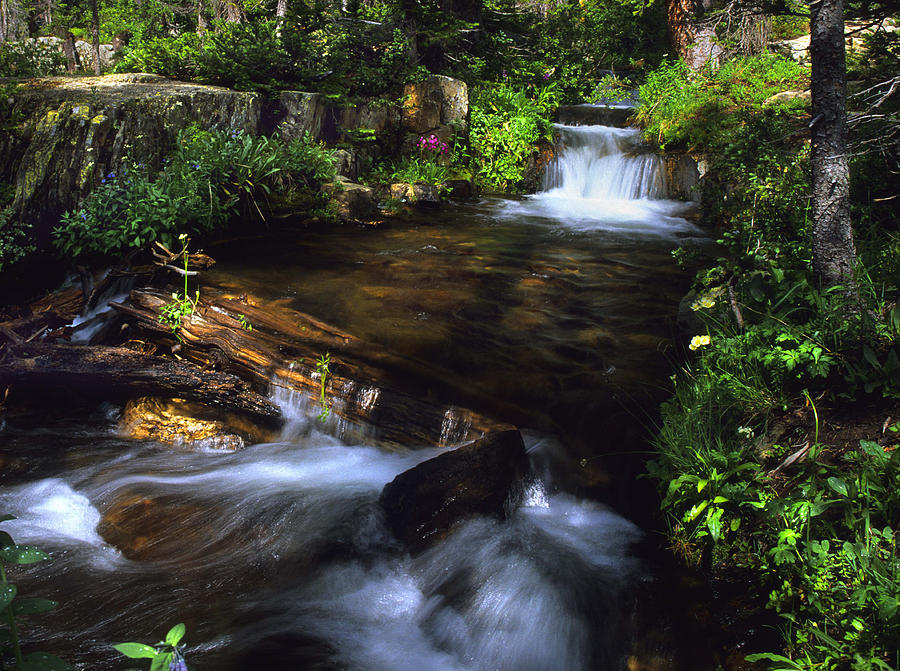 Waterfall Photograph - Sopris cr. waterfalls by Mike  Bennett