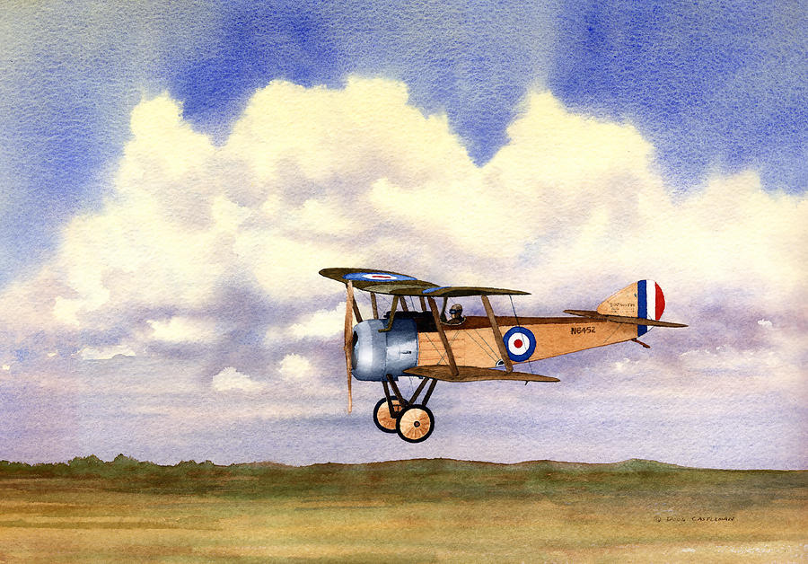 Sopwith Pup Painting by Douglas Castleman