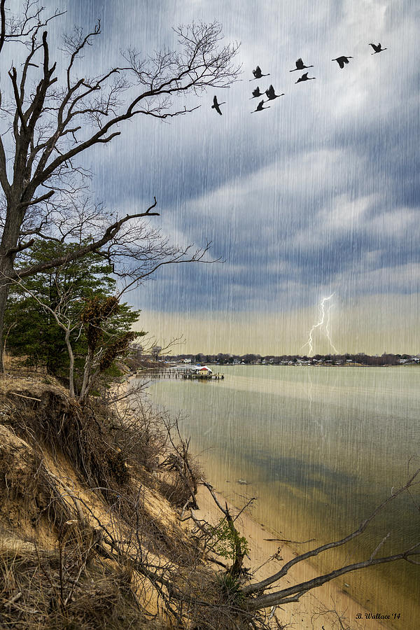 Bird Photograph - Storm Brewing Over Rock Creek by Brian Wallace