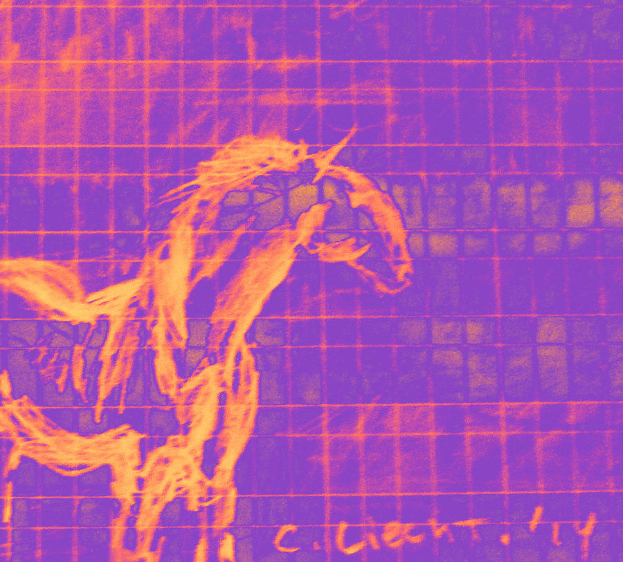 Sorraia Digital Art - Sorraia Wild Horse in a City by Carolina Liechtenstein