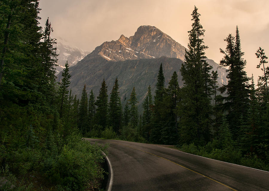 Jasper National Park Photograph - Sorrow Peak  by Cale Best