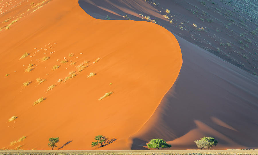 Desert Photograph - Sossusvlei Dawn - Namibia Sand Dune Photograph by Duane Miller