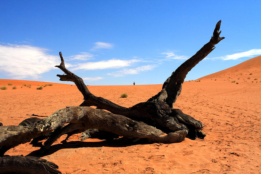 Sossusvlei Namibia Photograph by Aidan Moran